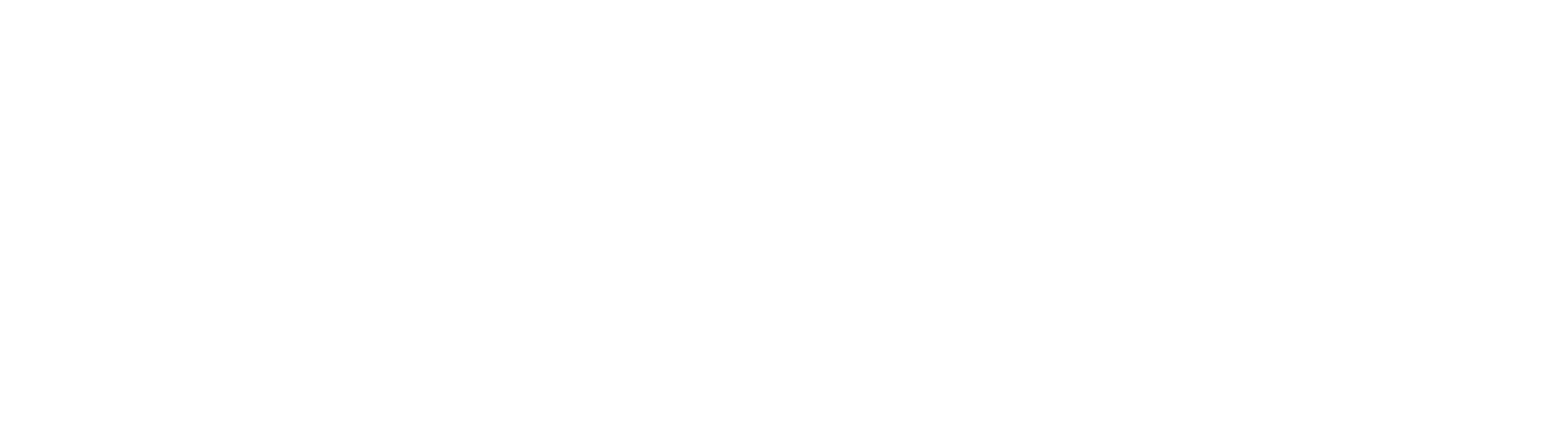 Birdie's Coffee Co logo